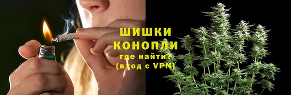 индика Покачи