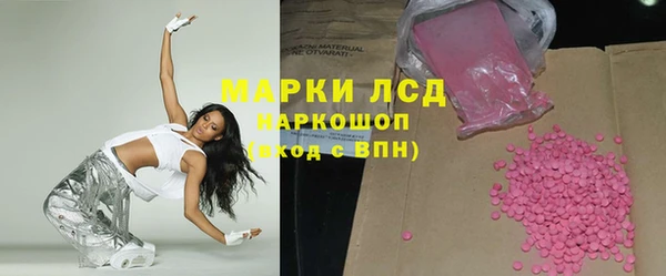 индика Покачи