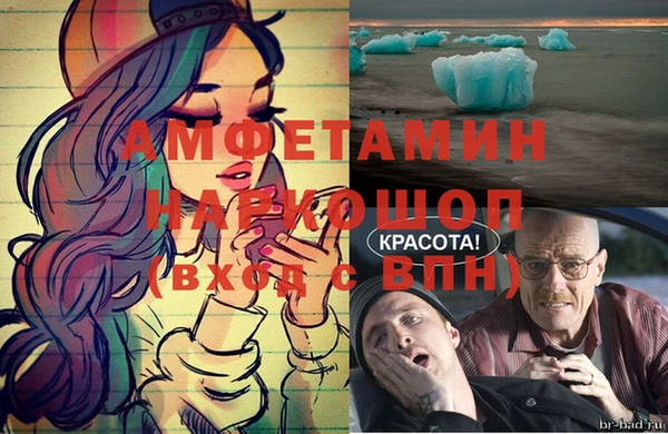 индика Покачи