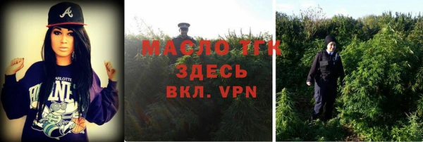 индика Покачи