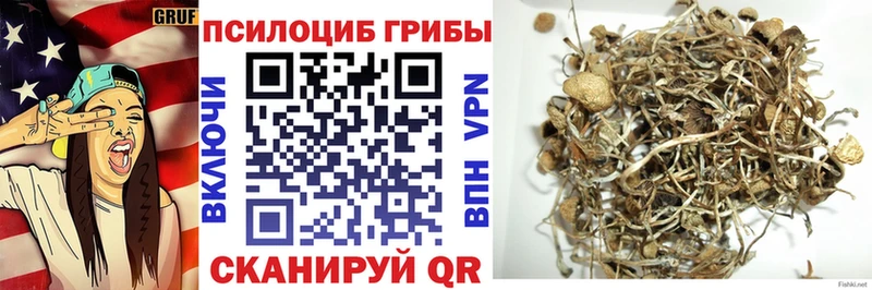Псилоцибиновые грибы MAGIC MUSHROOMS Симферополь