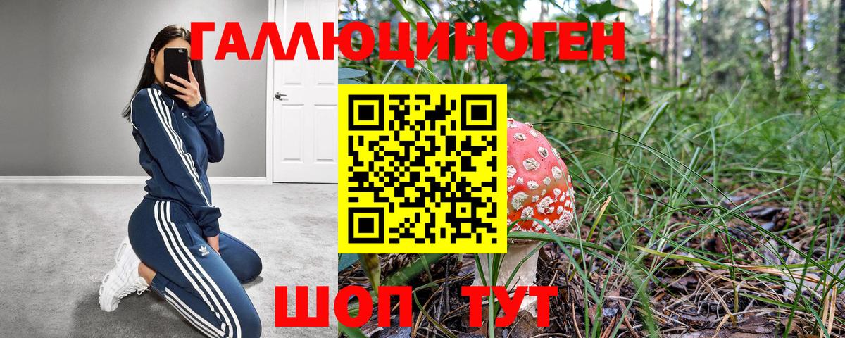 Симферополь  Галлюциногенные грибы мицелий  Псилоцибиновые грибы ЛСД  купить наркоту  Вход с VPN 